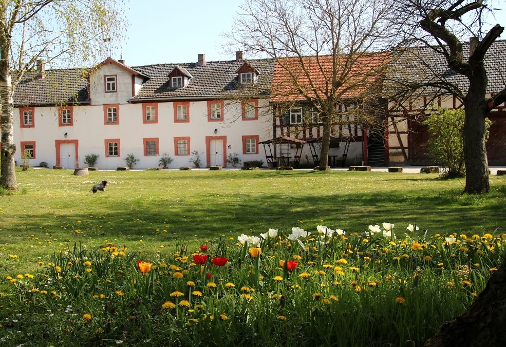Außenansicht historische Gebäude an der Itz im Frühling